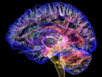 想被疯狂肏逼视频网站大脑植入物有助于严重头部损伤恢复
